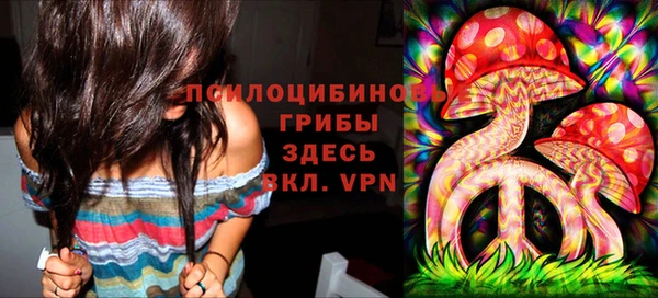 винт Бердск