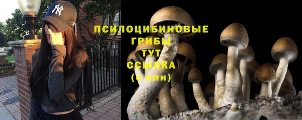 шишки Алапаевск