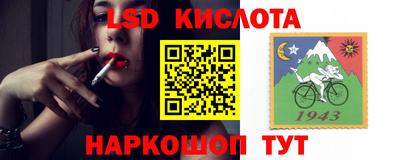 spice Абакан