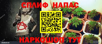 хмурый Балашиха