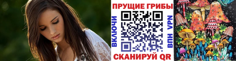 Псилоцибиновые грибы прущие грибы  Богданович 
