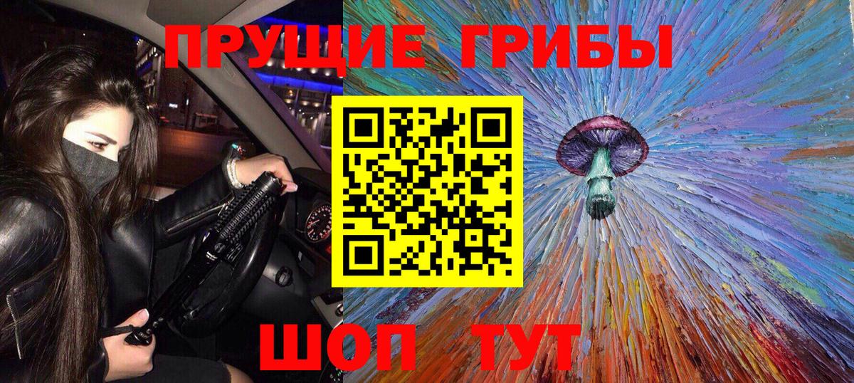 Псилоцибиновые грибы прущие грибы Богданович