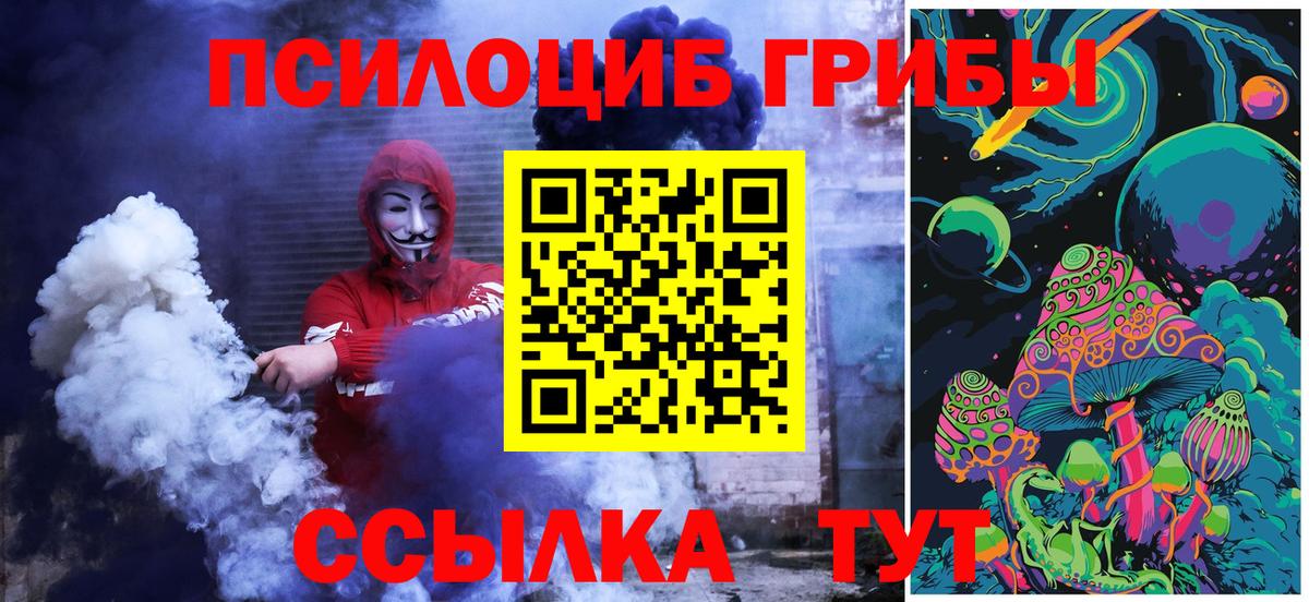 Псилоцибиновые грибы мицелий  Богданович  Галлюциногенные грибы мухоморы 