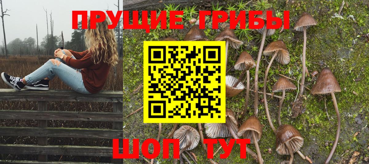 Богданович  Галлюциногенные грибы Magic Shrooms  Вход с VPN 