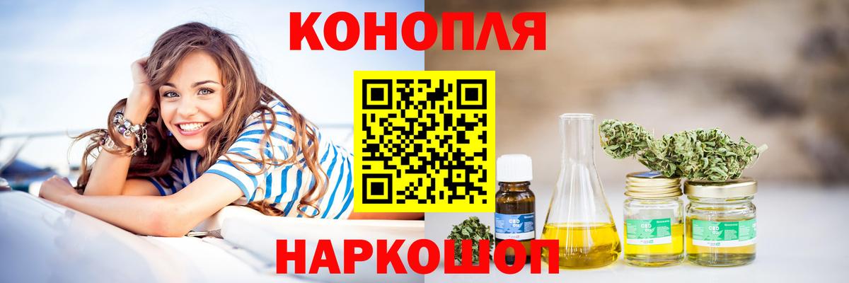 Конопля конопля  Канабис семена  Марихуана Ganja  Богданович  Каннабис Bruce Banner 